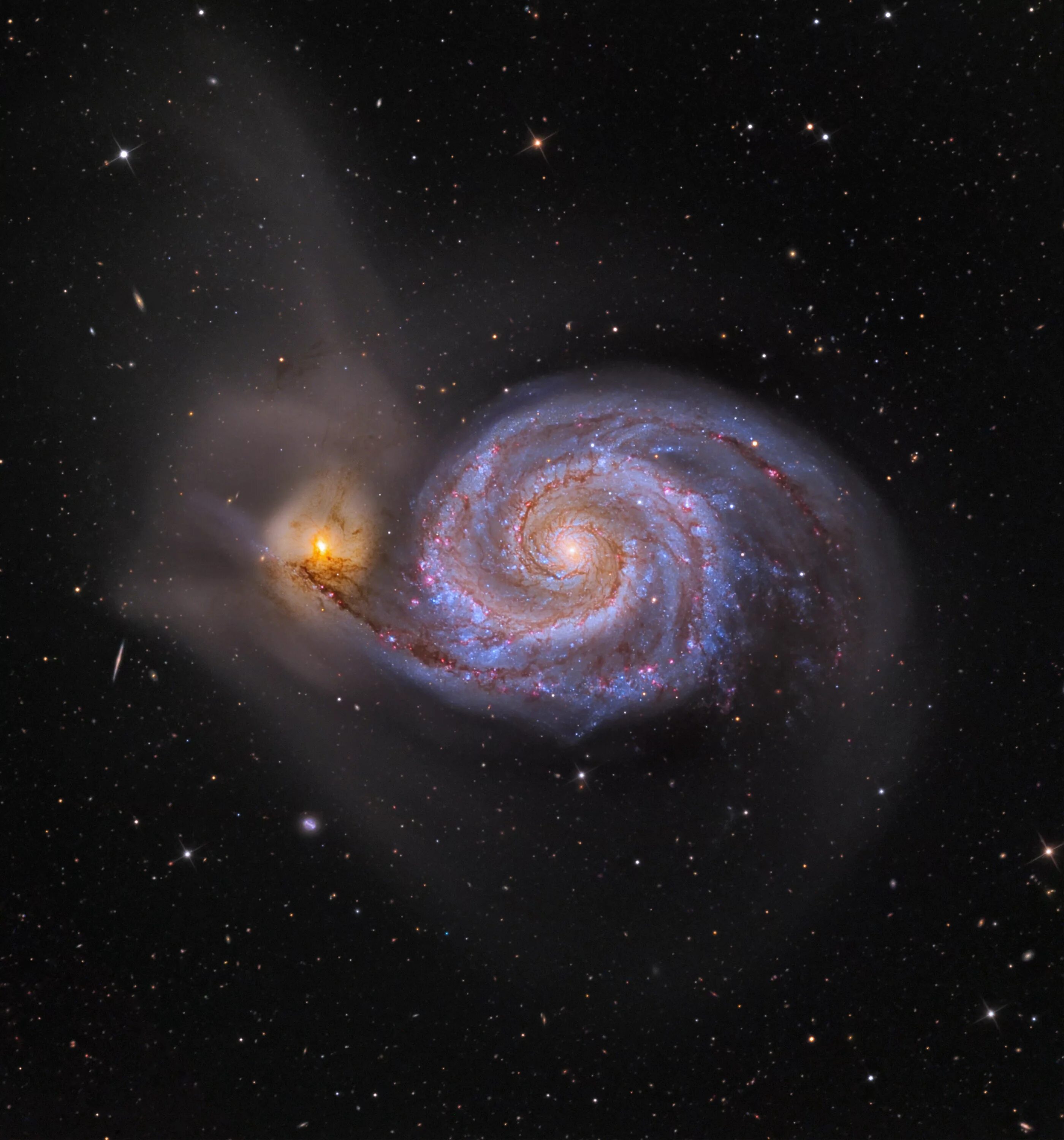 М51 водоворот. Галактика водоворот м51. Спиральная Галактика m51. M51 Whirlpool Galaxy. Гигантская звездная система