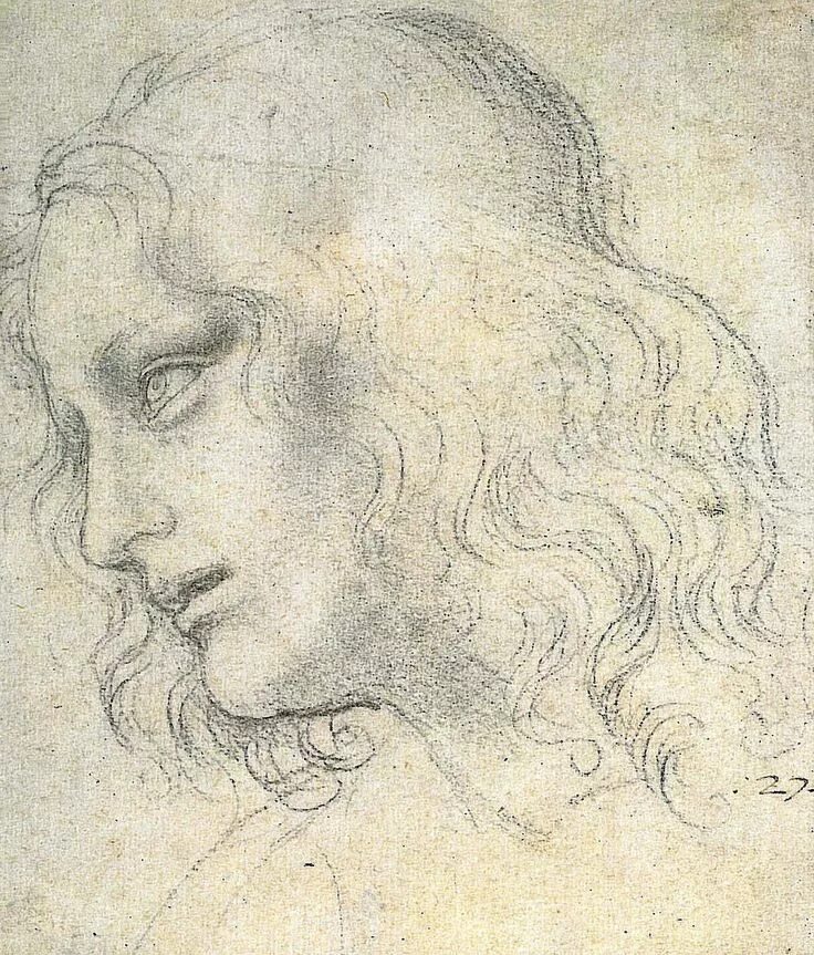 Леонардо да. Леонардо да Винчи. Зарисовки Леонардо да Винчи. Салаи ученик Леонардо да Винчи. Рисунки эпохи возрождения