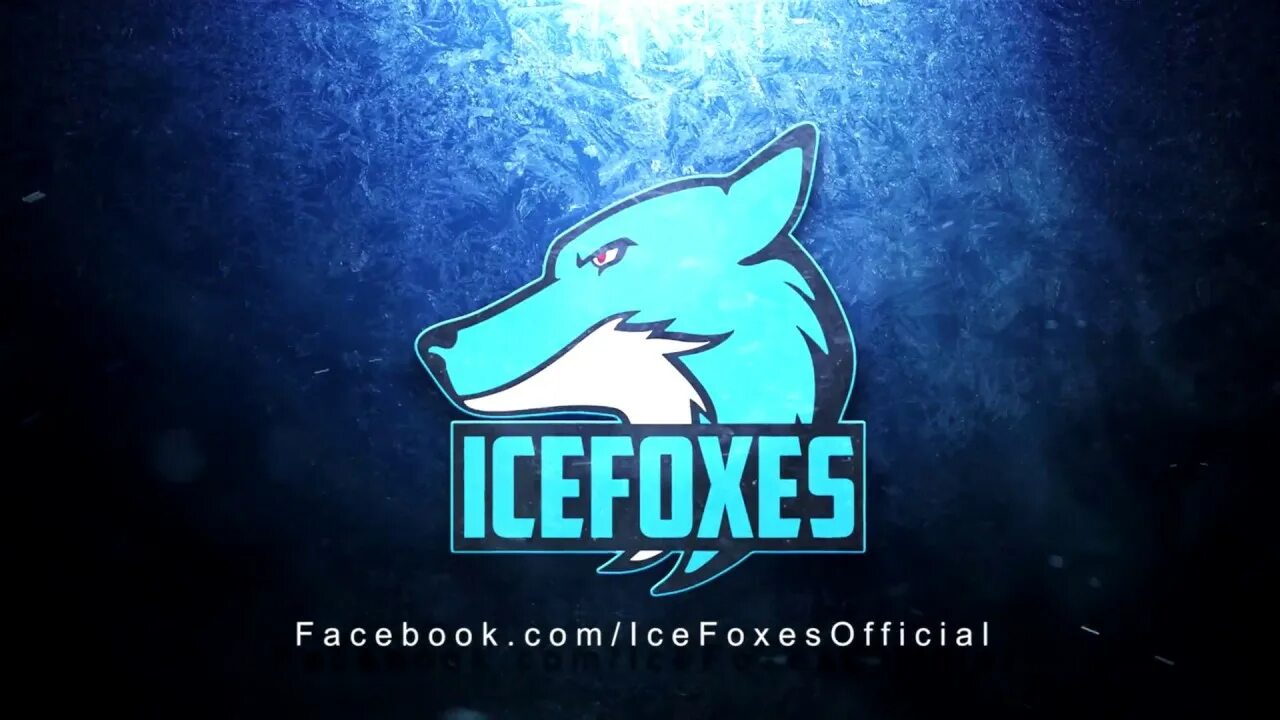 Айс Фокс. ICEFOX лийо. Fox Ice mem. Ice fox