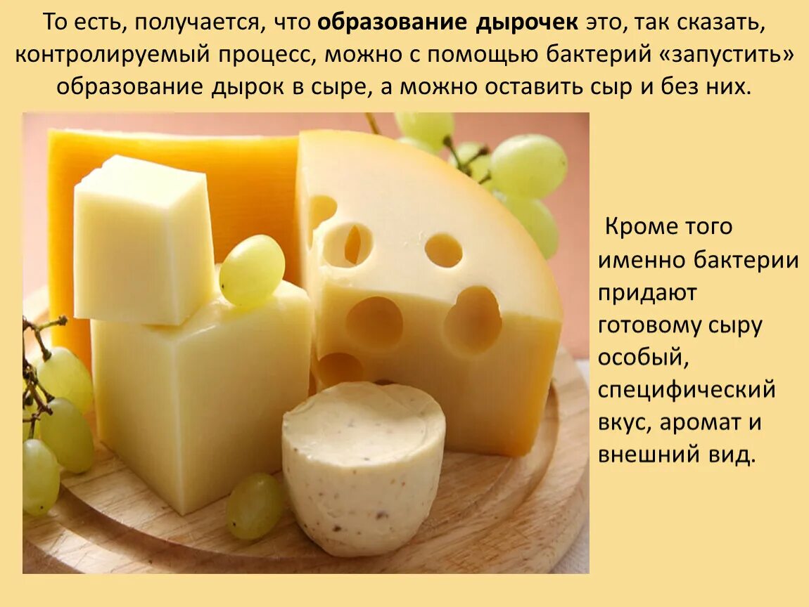 Сыр день и ночь. День любителей сыра. Всемирный день сыра. Всемирный день любителей сыра. День сыра картинки.