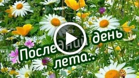 Последний день лита