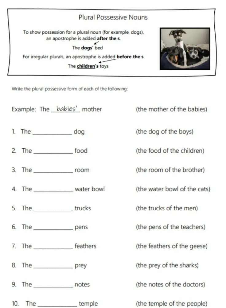 Use the possessive case of the nouns. Притяжательный падеж существительных в английском языке worksheets. plural possessive nouns. притяжательный падеж worksheets. possessive case of nouns 5 класс.