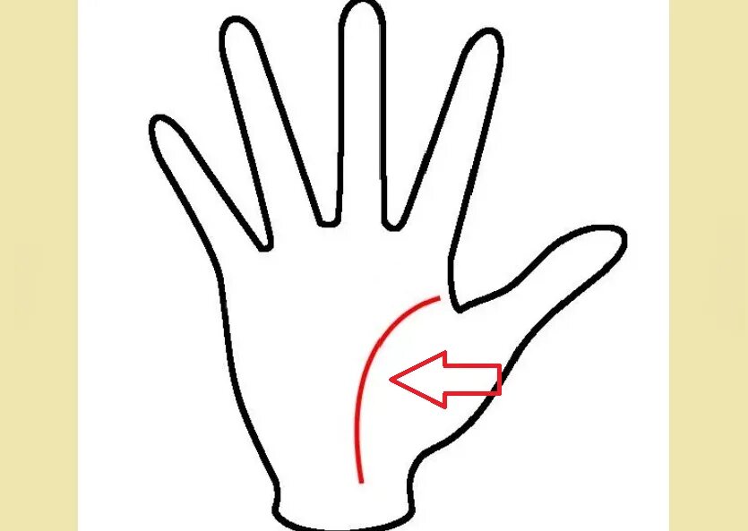 Линия жизни 1. Линия жизни 1
