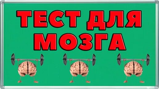 Тесты на эрудицию с ответами. Тест на эрудицию с ответами сразу. Бесконечный тест на эрудицию.