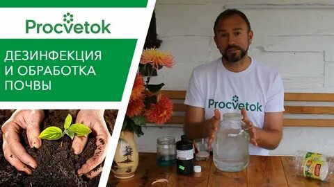 Обработка почвы в теплице триходермой осенью