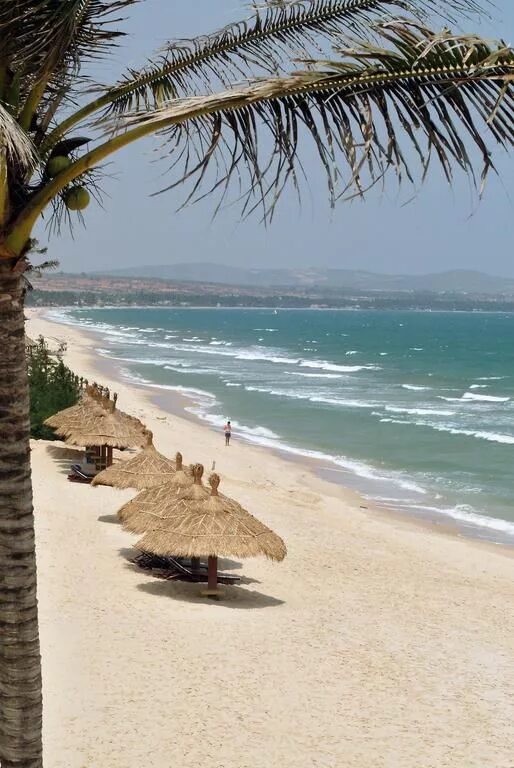 Остров фантьет вьетнам. Seahorse resort spa 4. Фантьет отзывы туристов 2024. Деревня муй нэ вьетнам. Фантьет вьетнам.