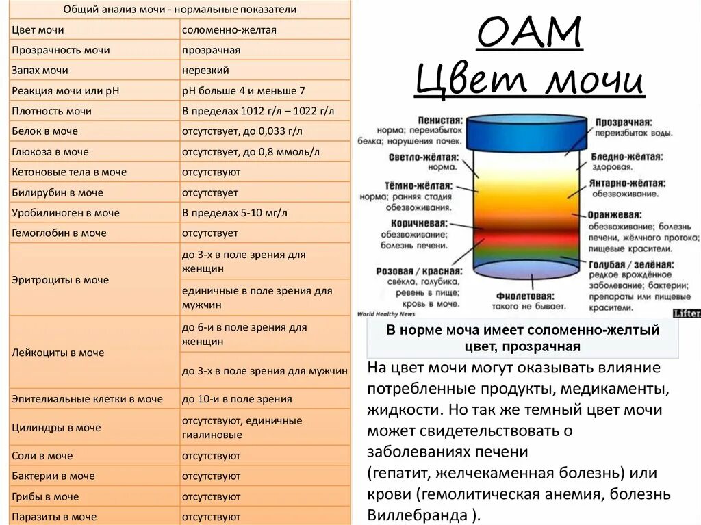 Моча у мужчин. Цвет мочи. Моча соломенного цвета. Нормальный цвет мочи. Цвет мочи норма.