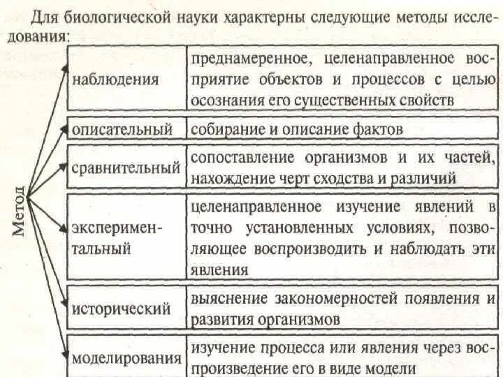 Наличие функции характерно для. Выявляет закономерности появления и развития организмов какой метод. Науки биологии ЕГЭ таблица. Выяснение закономерностей появления и развития организмов пример. Науки изучающие организм человека сходство и различие.