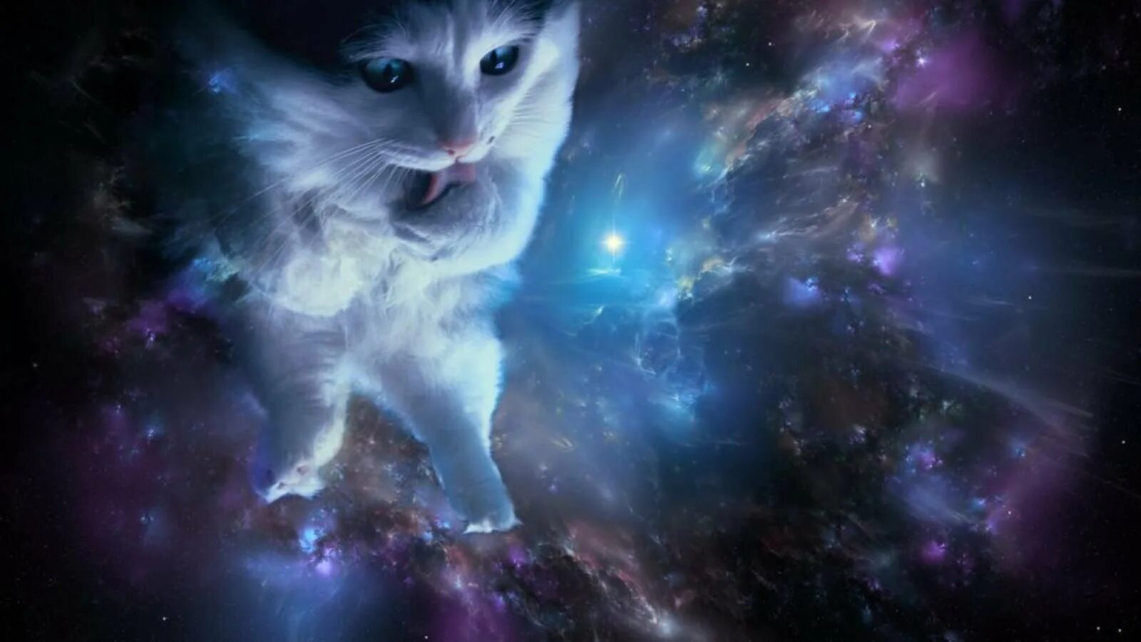 Космический кот. Кот в космосе. Котенок в космосе. Кот Вселенная. Кот в космосе рисунок