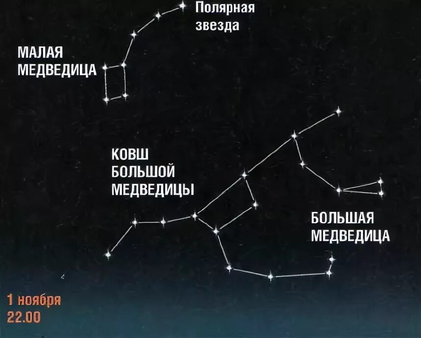 Можно ли увидеть малую медведицу. Большая и малая Медведица Полярная звезда. Полярная звезда ковш большой медведицы и малой медведицы. Большая Медведица и Полярная звезда расположение. Полярная звезда по Ковшу большой медведицы.