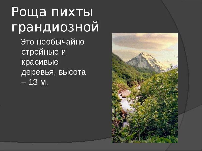 Природные Уникумы дальнего Востока презентация. Уникумы дальнего Востока презентация. Природные Уникумы дальнего Востока сообщение.