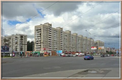 Просвещения 69 фото