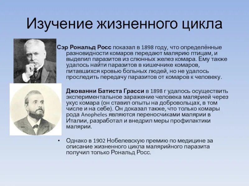 История малярии. Рональд Росс. Рональд Росс малярия. Рональд Росс Нобелевская премия. Рональд Росс презентация.