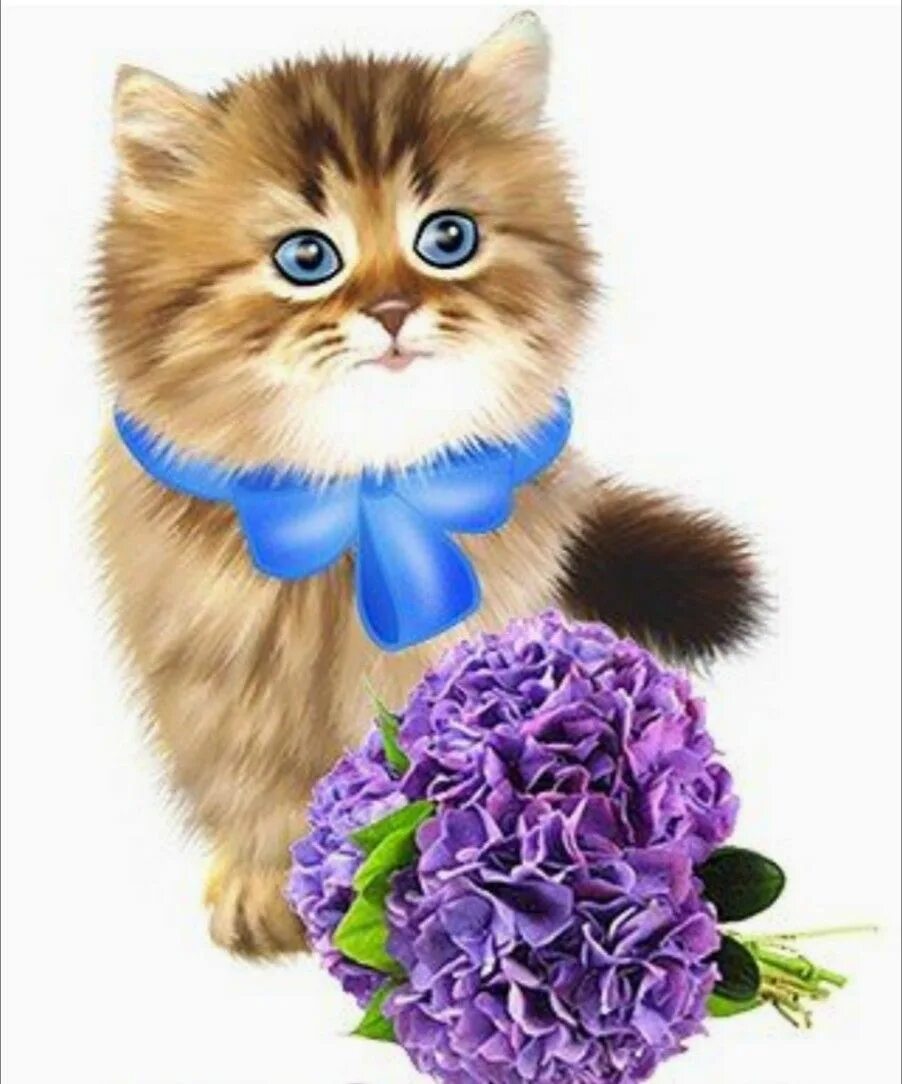 Какие нибудь открыточки. Цветы и котик открытка. Кот с цветами открытка. Котик с цветочком. Открытки с котятами.