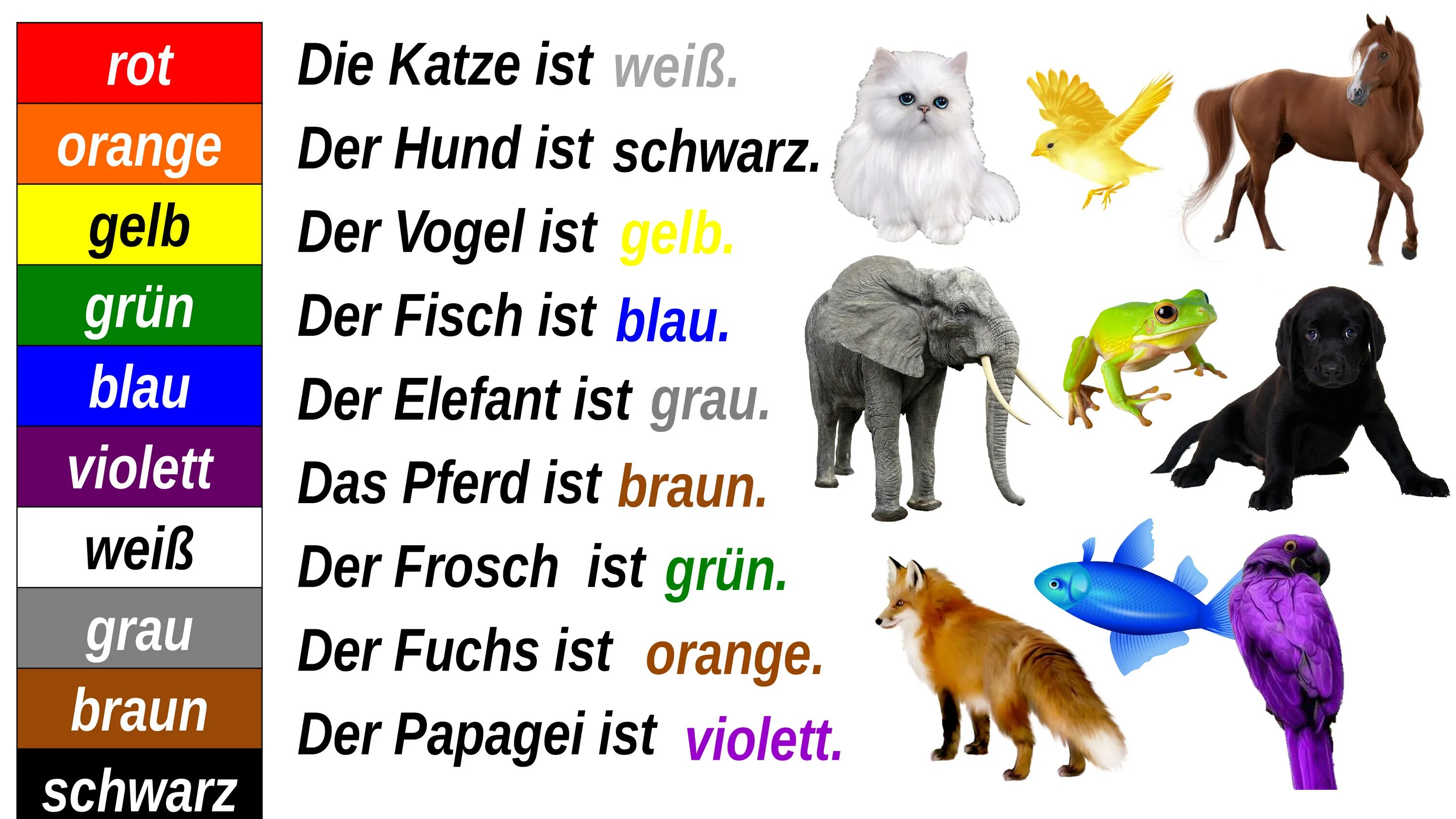 Уроки немецкого языка животные. Презентация по теме die Tiere. Животные на немецком. Тема животные на немецком языке. Названия животных на немецком языке.