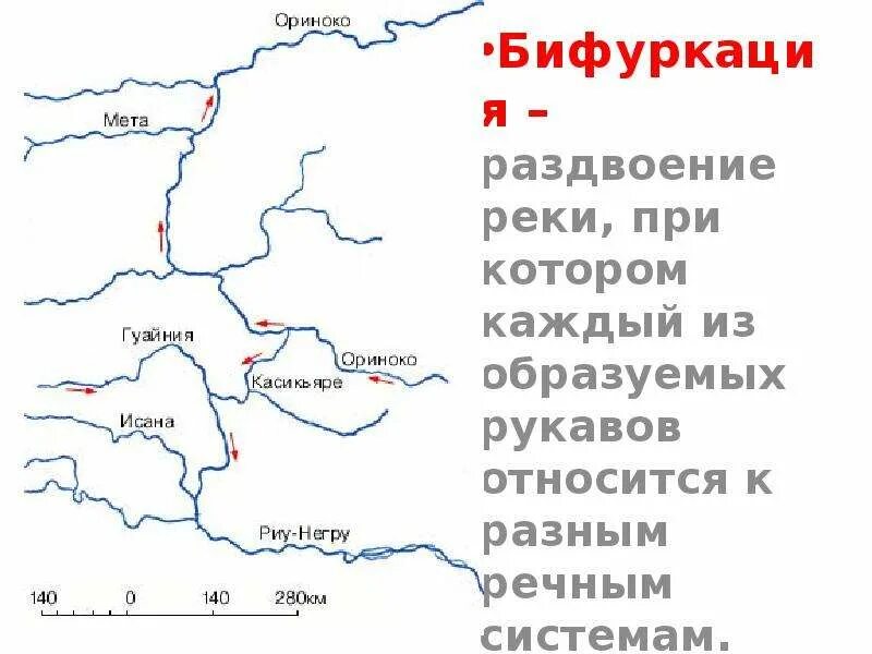 Бифуркация рек. Бифуркация реки Ориноко. Река Ориноко карта рек. Река Ориноко презентация. Направление реки ориноко