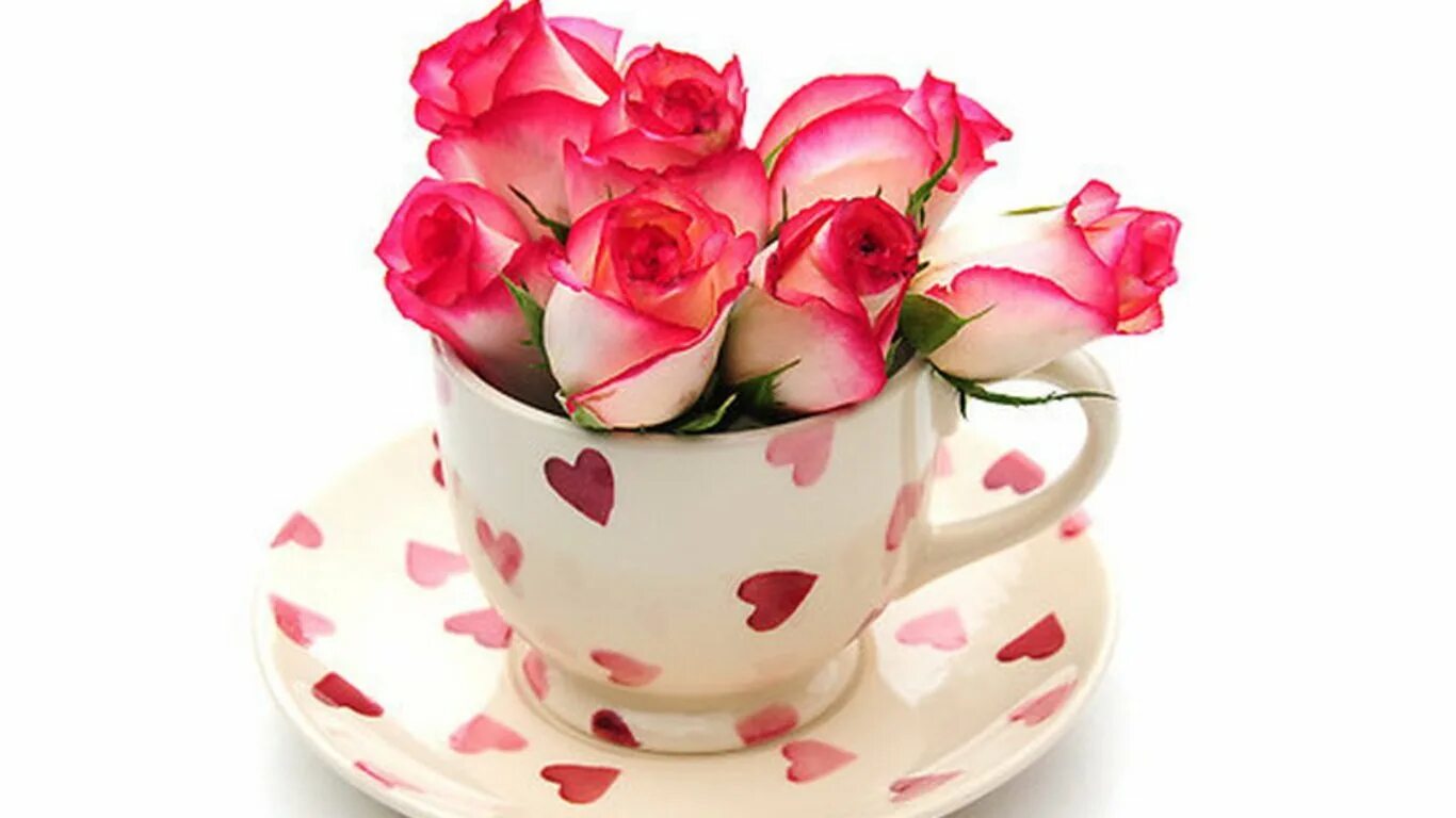 Хорошего дня любимая гифки. Цветы в чашке. Цветы в кружке. Красивые цветы в чашке. Очень красивые чашки.