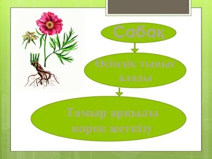 Торрент порно