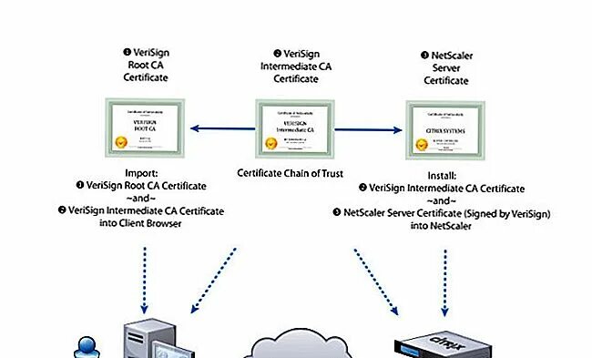 Настройка веб сервера. Настройка SSL Apache. Виды сертификатов SSL. Подключение к apache2. Настроить веб сервер