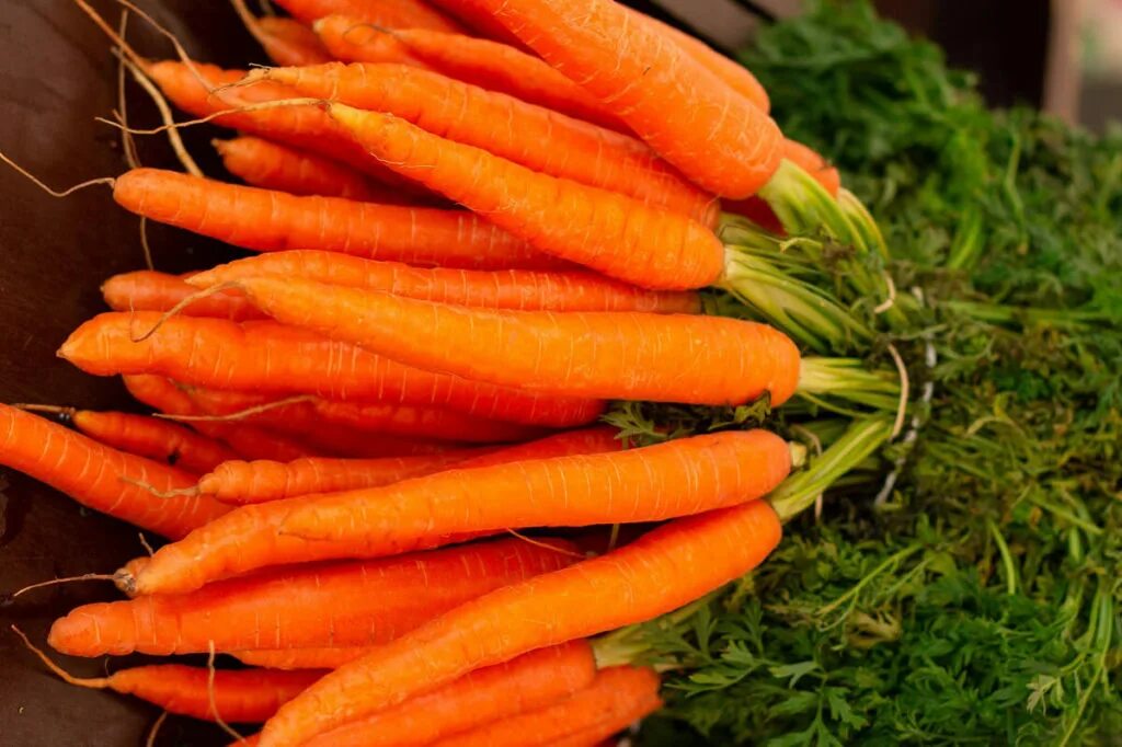 Описание чая. Морковный чай рецепт. Облепиховый сбитень (100 мл). Чай из моркови сушеной. Вред морковного чая.