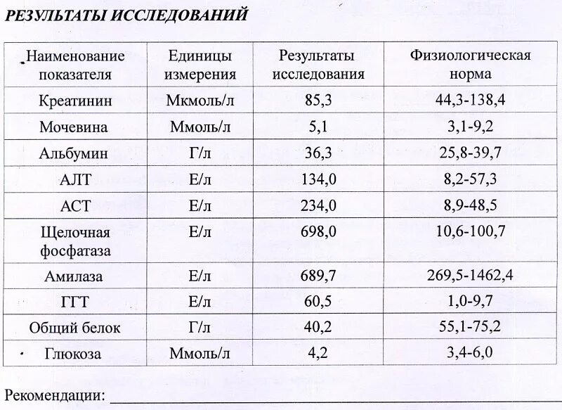 Повышенные анализы печени. Щелочная фосфатаза у собак норма. Нормы показателей биохимического анализа крови у собак. Щелочная фосфатаза 7000 у собаки. Показатели печени в биохимии крови норма.