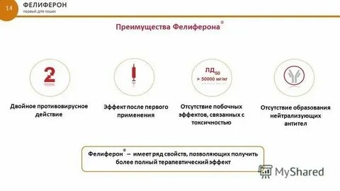 14 преимуществ