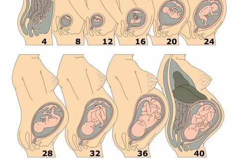 ВК-дағы порно видеолар