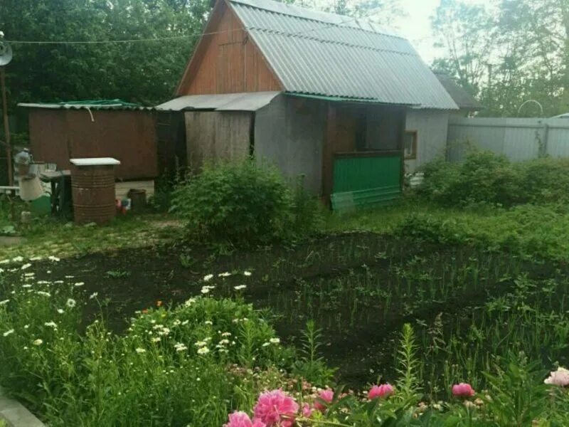 Снт елабуге. Снт восточный 2 ижевск. Снт елабуге. Снт елабуге. Снт елабуге.