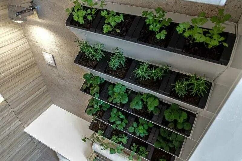 Зелень на подоконнике. Горшки для зелени на подоконнике. Огород на подоконнике. Огород в квартире. Посадить зелень в квартире.