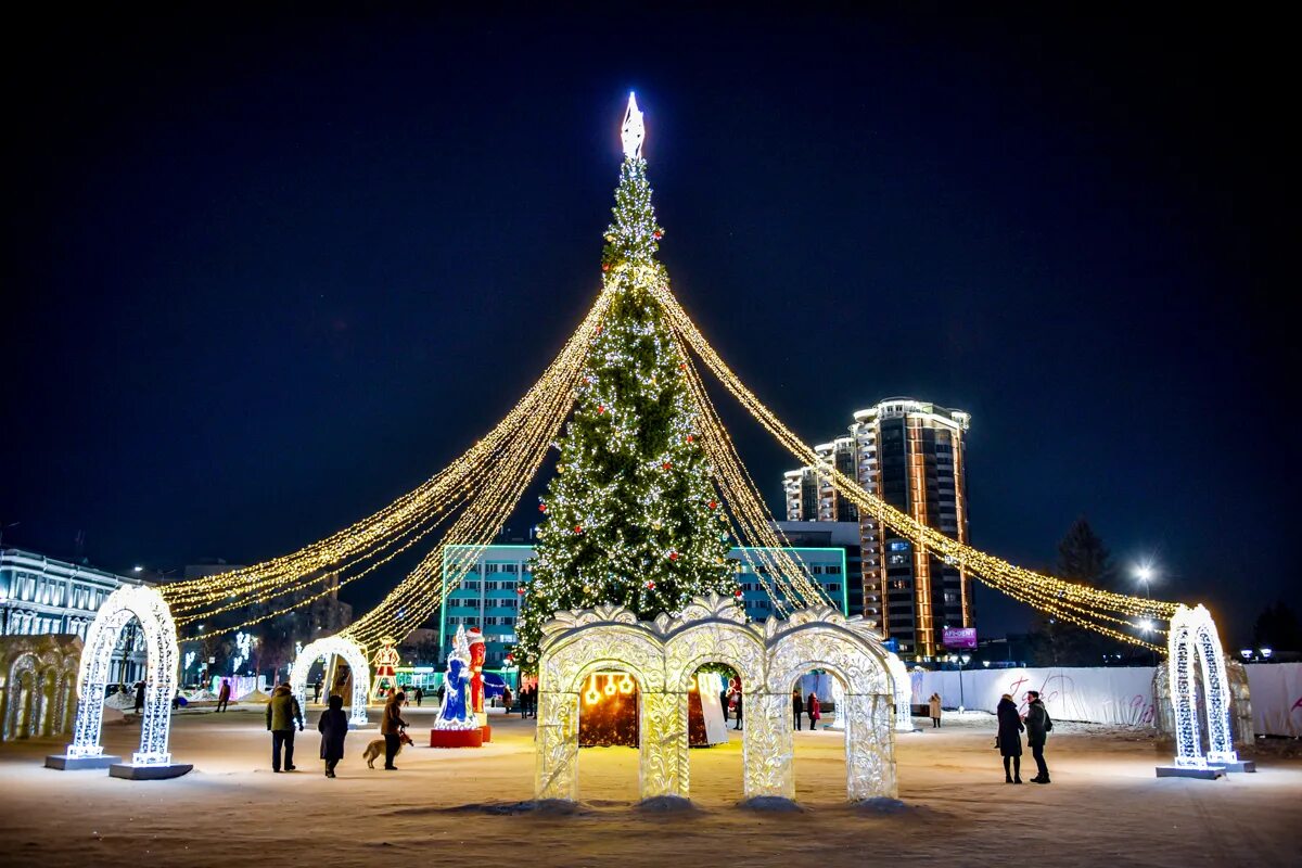 новогодняя елка. новый год 2024 елки. ароматическая ёлочка фото. новый год 2024 елки. новый год 2024 елки.