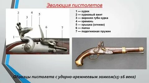 Глас курка 4 буквы