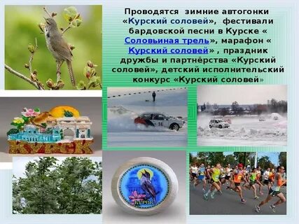 Курская область соловьиный край