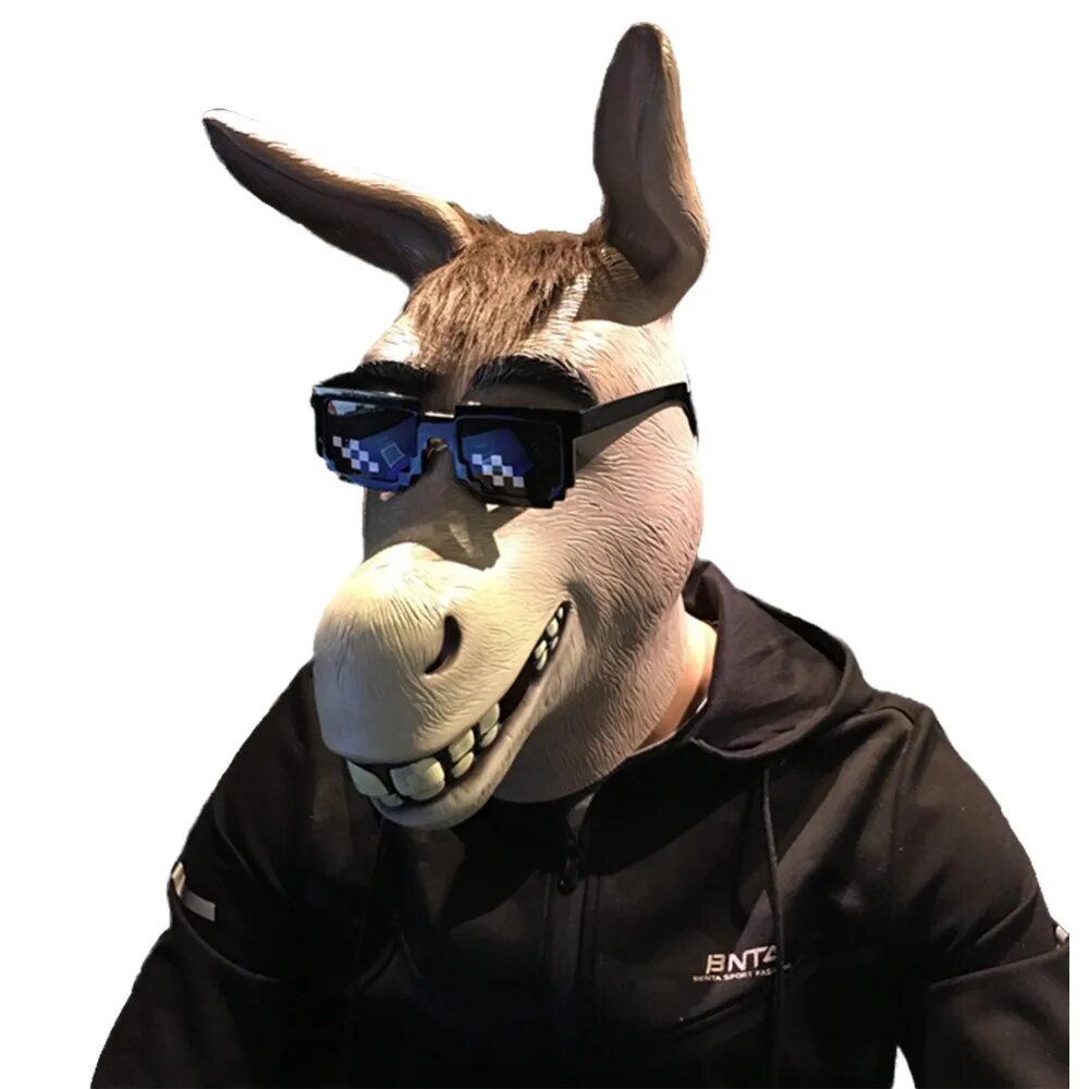 10 популярных идей на тему "donkey funny pics" для вдохновения