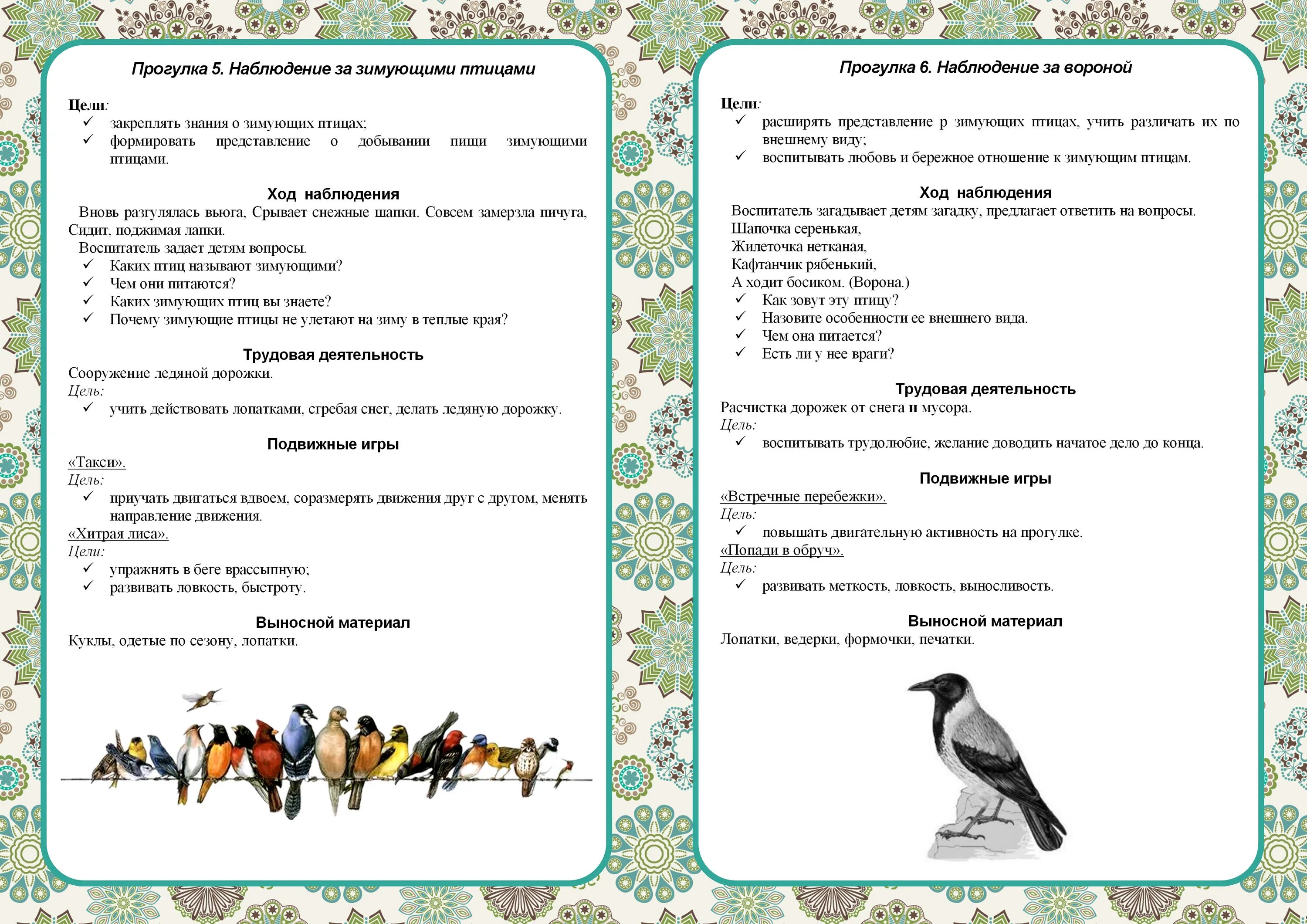 Беседы неделя средняя группа. Наблюдение на прогулке в подготовительной группе зимой. Наблюдения в младшей группе зимой мир природы. Наблюдение зимой в младшей группе. Наблюдения зимой в средней группе.