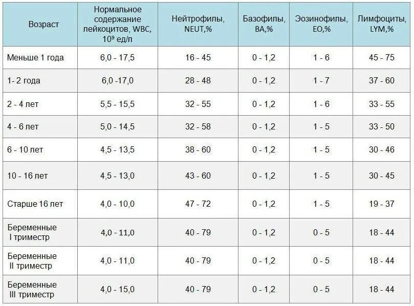 Лейкоциты качественно что это значит. Норма показателей лейкоцитов в крови у новорожденного. Нормы лейкоцитов в крови у женщин по возрастам таблица. Норма лимфоцитов и нейтрофилов у детей. Уровень лейкоцитов в крови норма у детей 3 года.