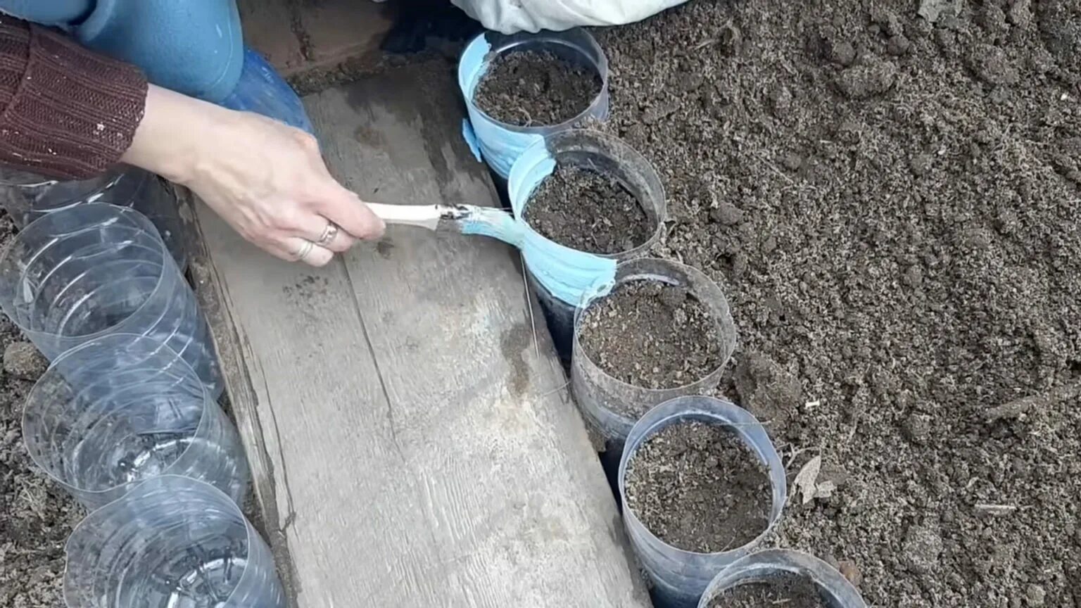 Бордюр из пластиковых бутылок. Клумбы из пластиковых бутылей. бордюр из пластиковых бутылок для клумб. ограждение для клумбы из бутылок. бордюр из бутылок и цемента.