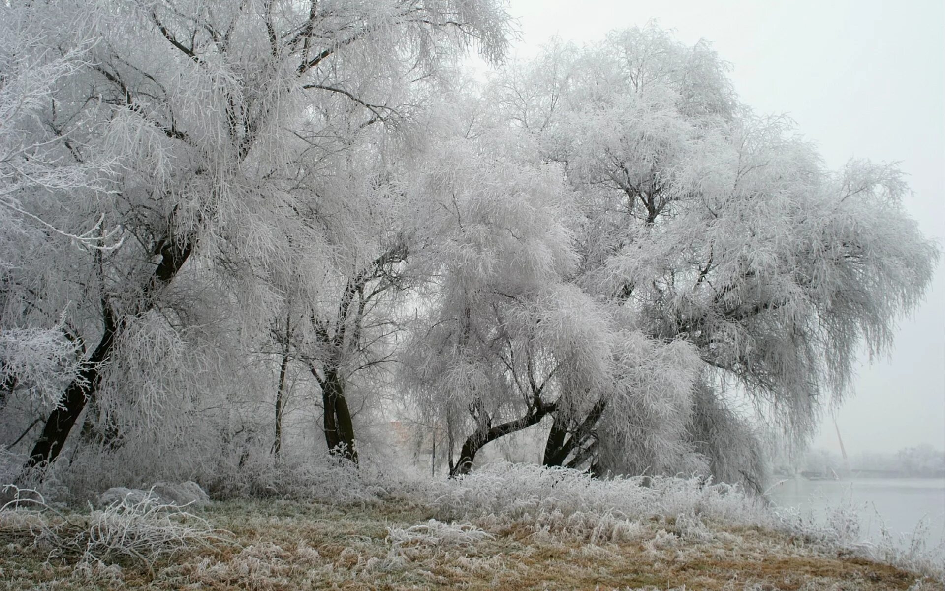 Природа изморозь