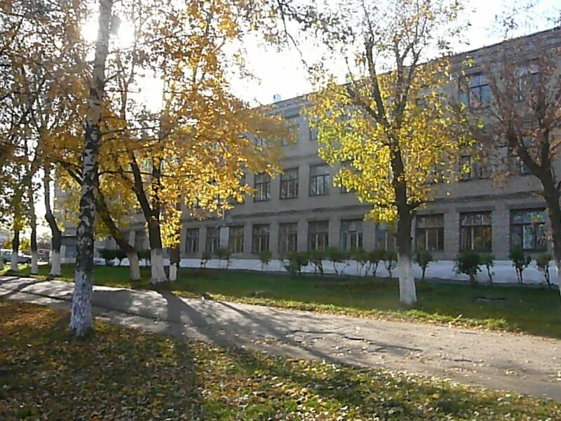 страница школы 11