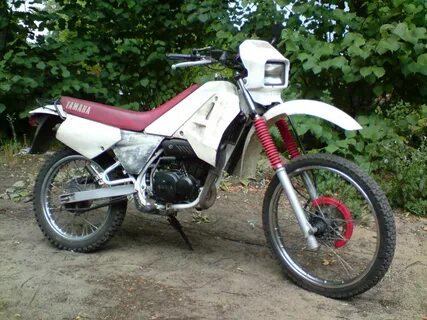 Dt 50