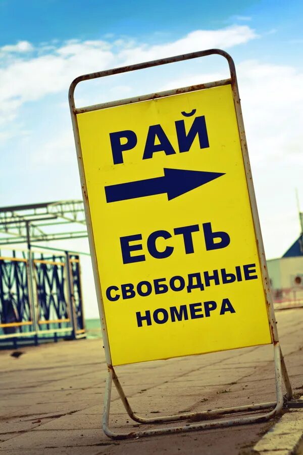 терминатор когда была свободна русь. я свободная девушка. я свободен фото. хочешь свободы свободен картинки. если сын освободит вас то истинно свободны будете ин 8 36.