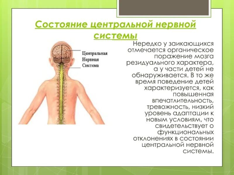 Состояние центральной нервной системы. Нервная система ребенка. Центральная нервная система ребенка. Поражение центральной нервной системы у ребенка.