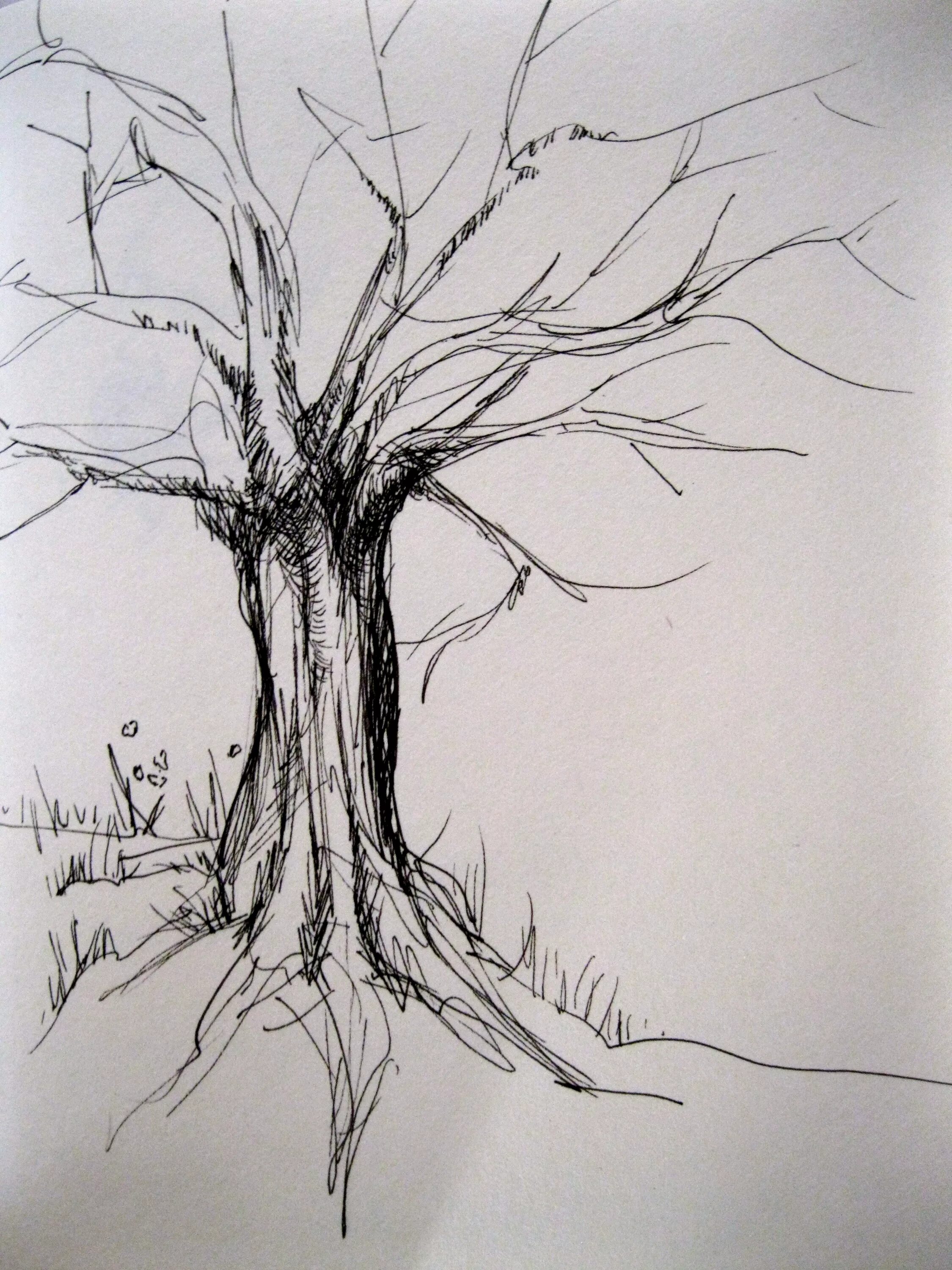Tree pen