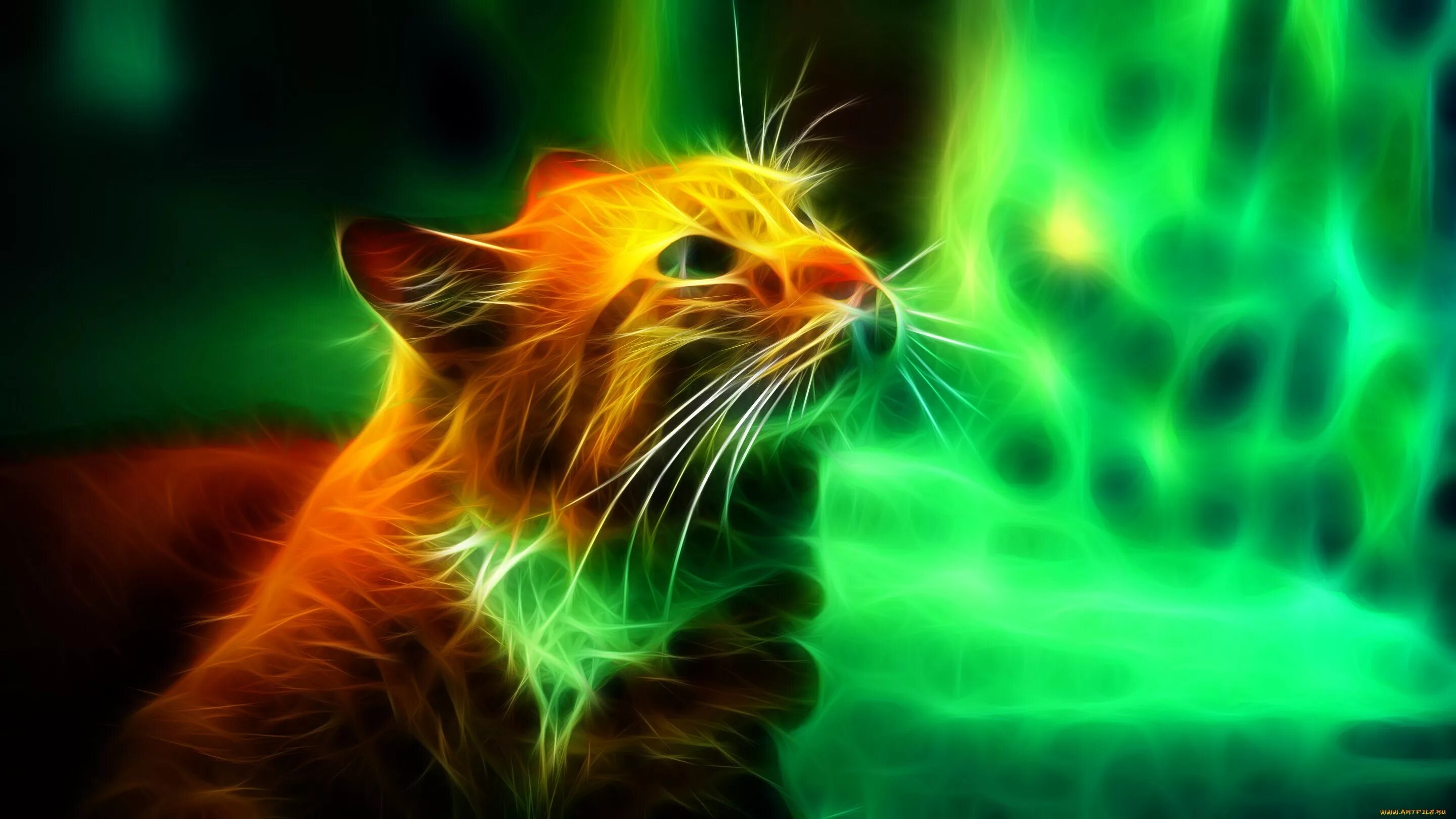 3 д кот. Неоновый кот. огненный кот. огненный кот обои. светящиеся котики.