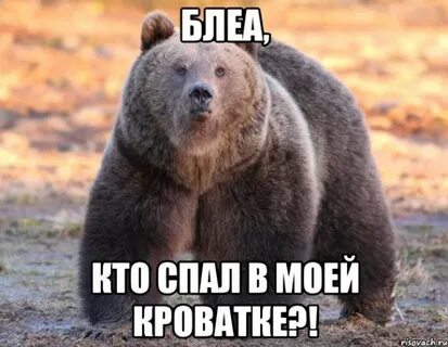 Кто спал на моей кровати