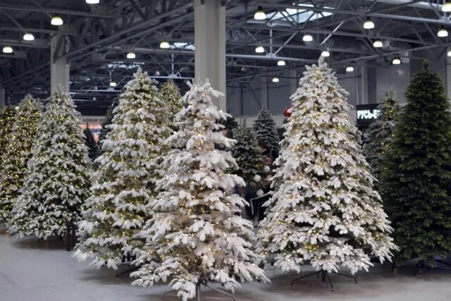 Елка в самаре. Елки адреса. Русь елка пятигорск. Магазин елок. Выставка крокус кристмас бокс.