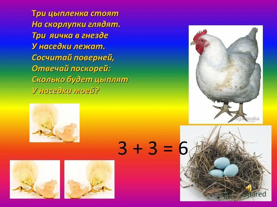 К какой группе относится курица. К яичным породам кур относятся:. Три цыпленка стоят на скорлупки. 7 Цыплят.