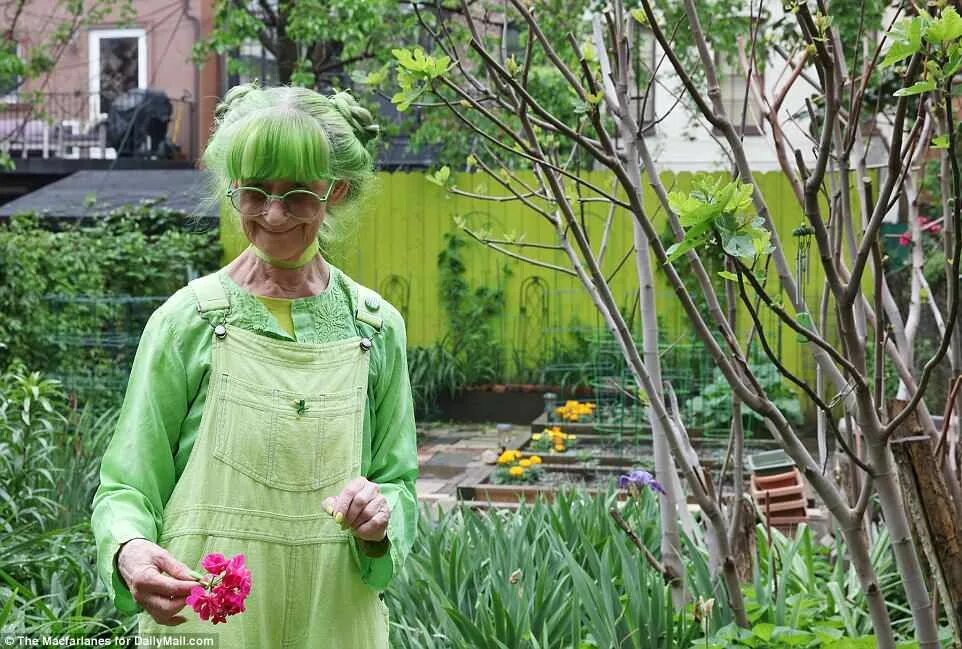 Леди грин. Green madam. Green madam. Элизабет итон розенталь. Зелёная бабушка элизабет свитхарт.
