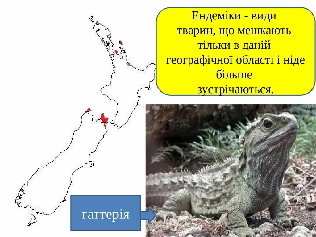 Ареал эндемиков. Эндемичный ареал. Эндемичный ареал. Виды ареалов обитания. Ареал обитания домовый воробей.