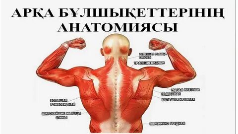 Орыс гей жастарының жыныстық қатынасы