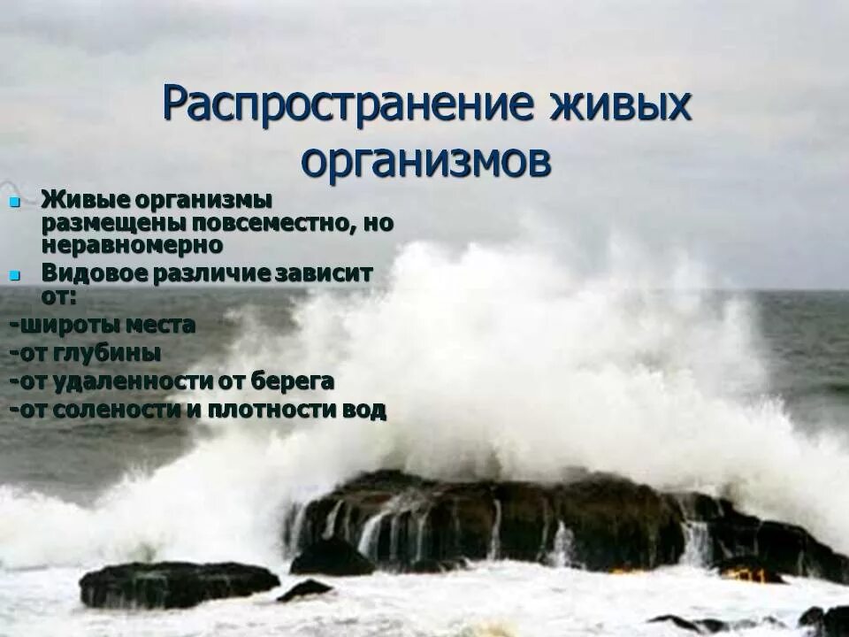 Распространение живых организмов. Распределение живых организмов. Распространение живых организмов в океане. Распространение живых организмов в мировом океане зависит от. От чего зависит распространение живых организмов